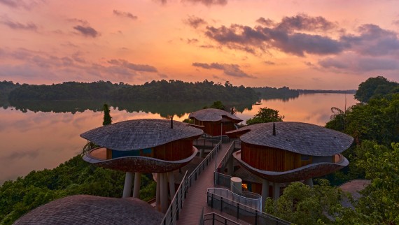 Kapsuły mieszkalne inspirowane kształtem nasion w Mandai Rainforest Resort (© Banyan Tree)