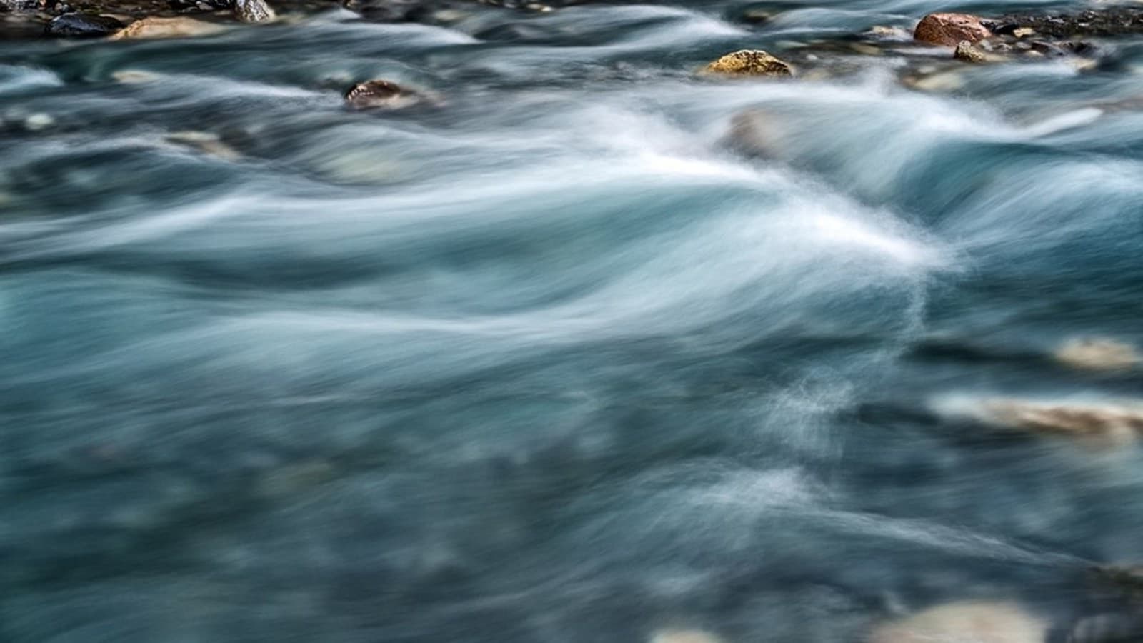 Program Strażnicy Rzek Program Strażnicy Rzek