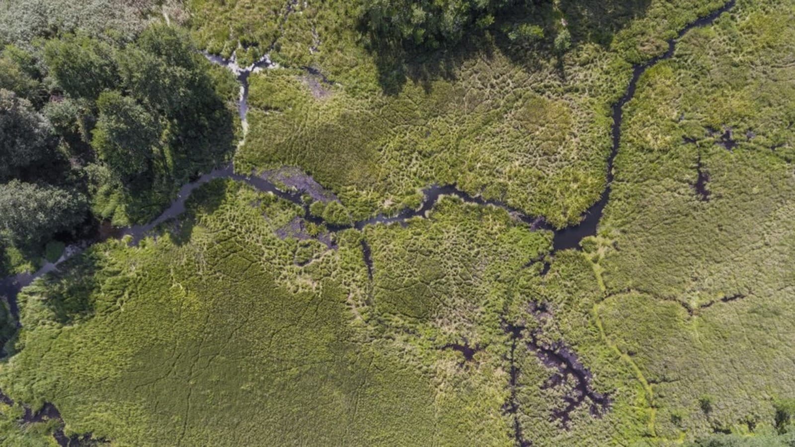 Strażnicy rzek Strażnicy rzek