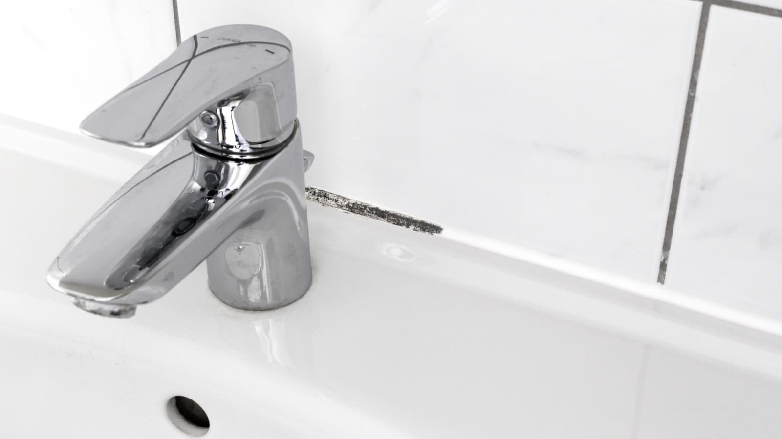 Pleśń w fugach łazienkowych Pleśń w fugach łazienkowych